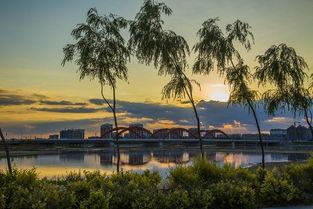 营口辽河公园爆料视频,揭秘公园美景与趣事  第1张